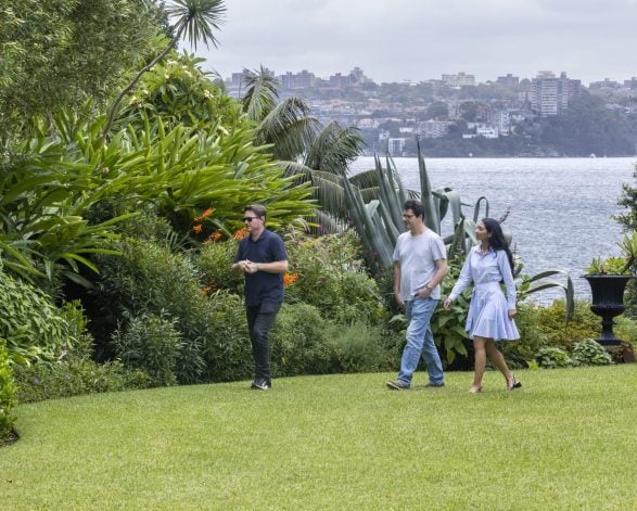Lindesay gardens