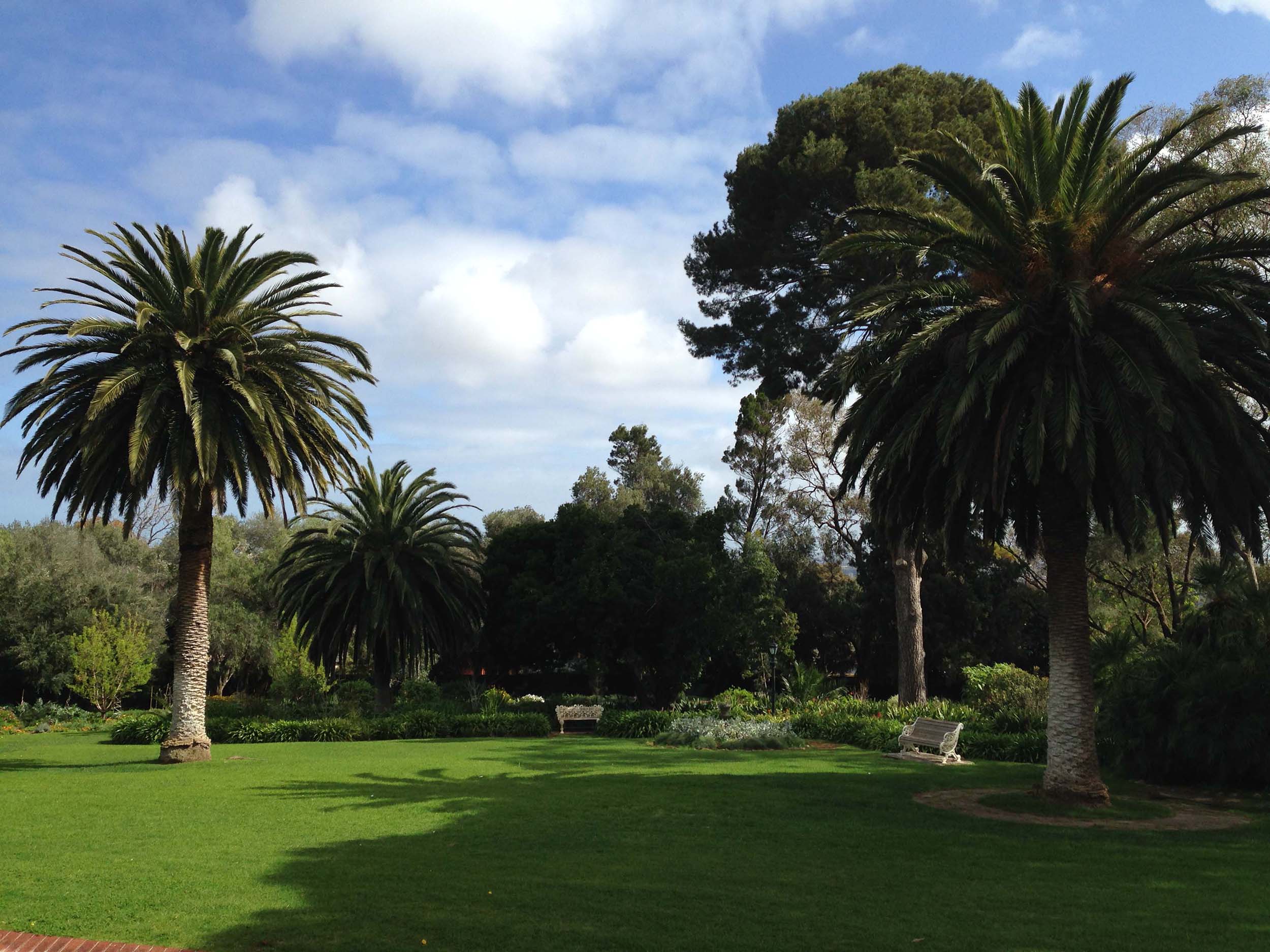 Patrons of the National Trust of SA