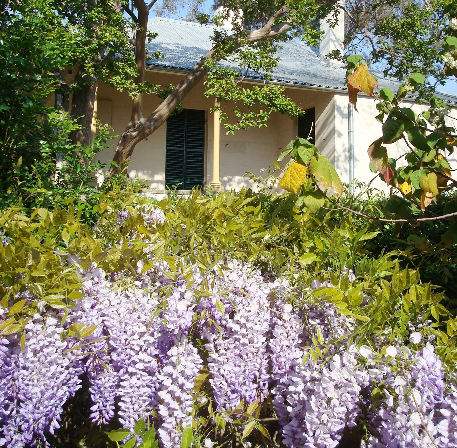 NSW Festival Spotlights
