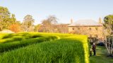 Hedge maze
