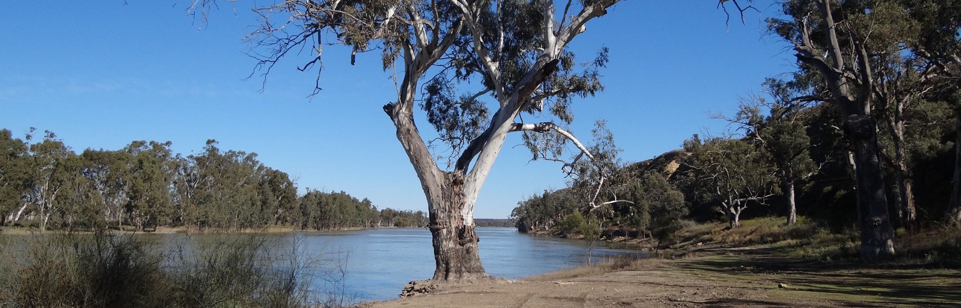 Herons Bend  Reserve banner image