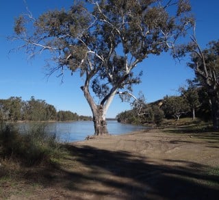 Herons Bend Reserve related image