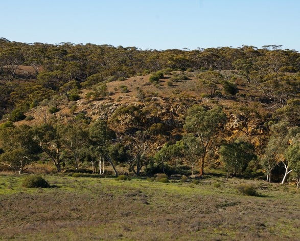 Nature Reserves