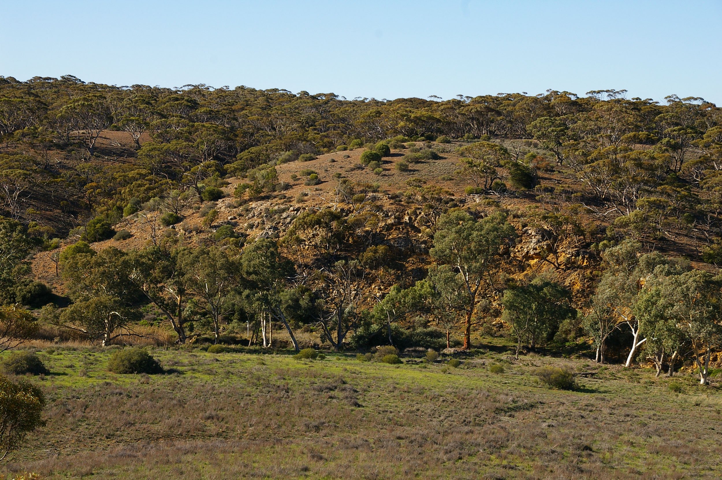 Nature Reserves