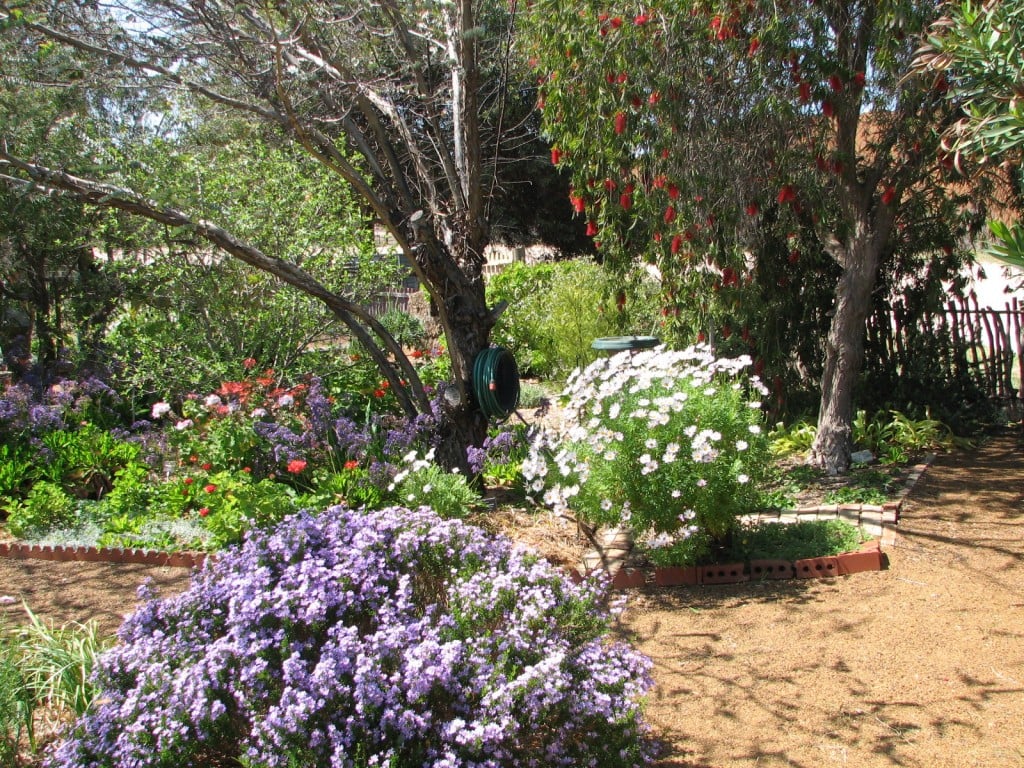 Guided Walking Tour and Entry to Miner's Cottage & Garden National Trust