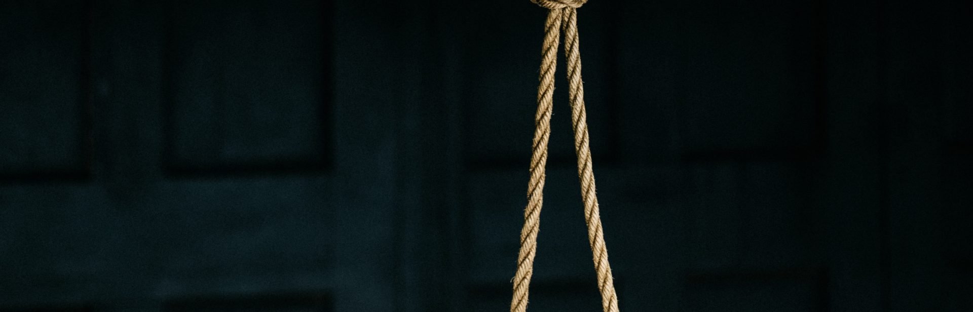 banner image