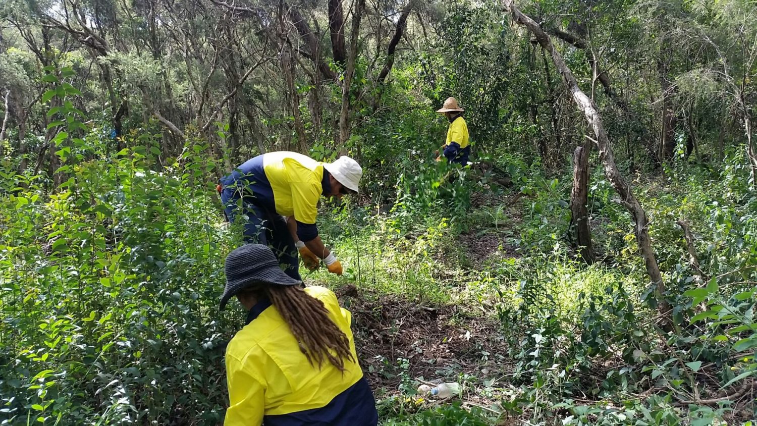 Policies National Trust