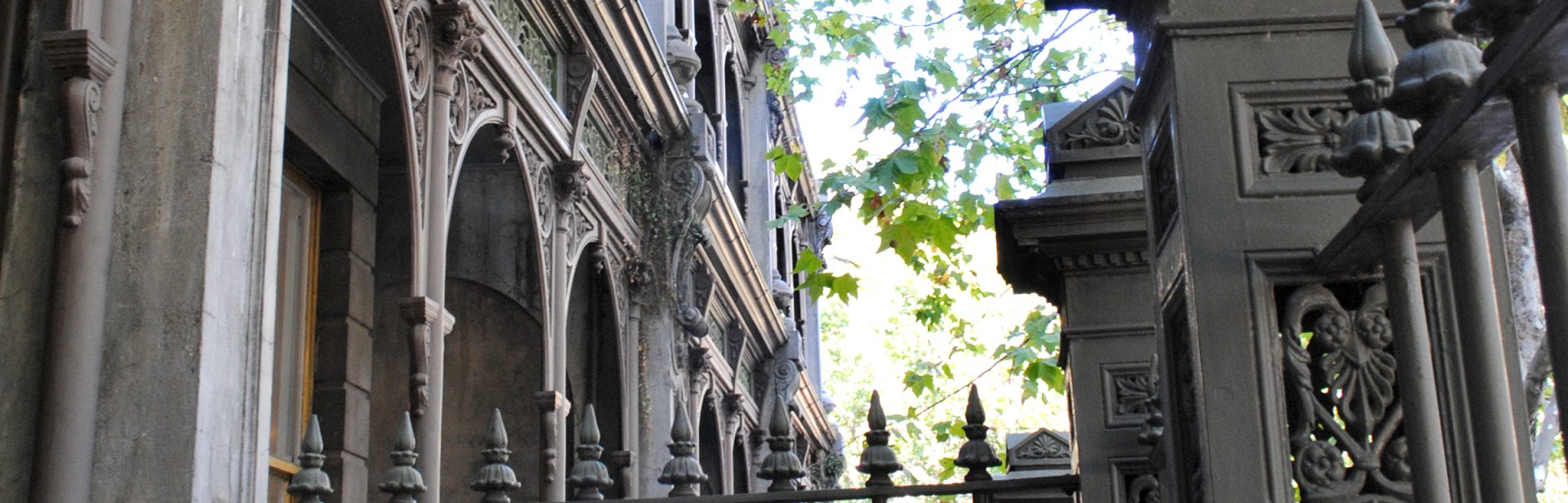 tasma appeal3 banner image