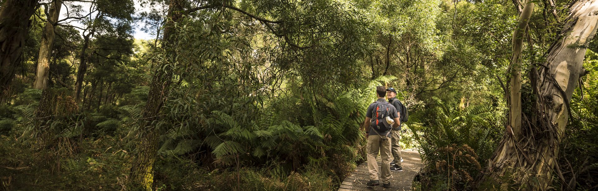 ┬® Annette Ruzicka-TFN-0061-PRINT banner image