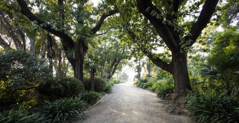 Rippon Lea Education Programs