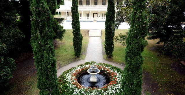 feature image