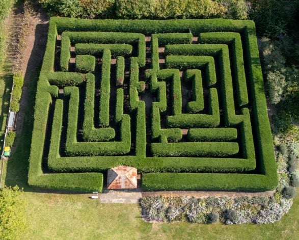 The maze