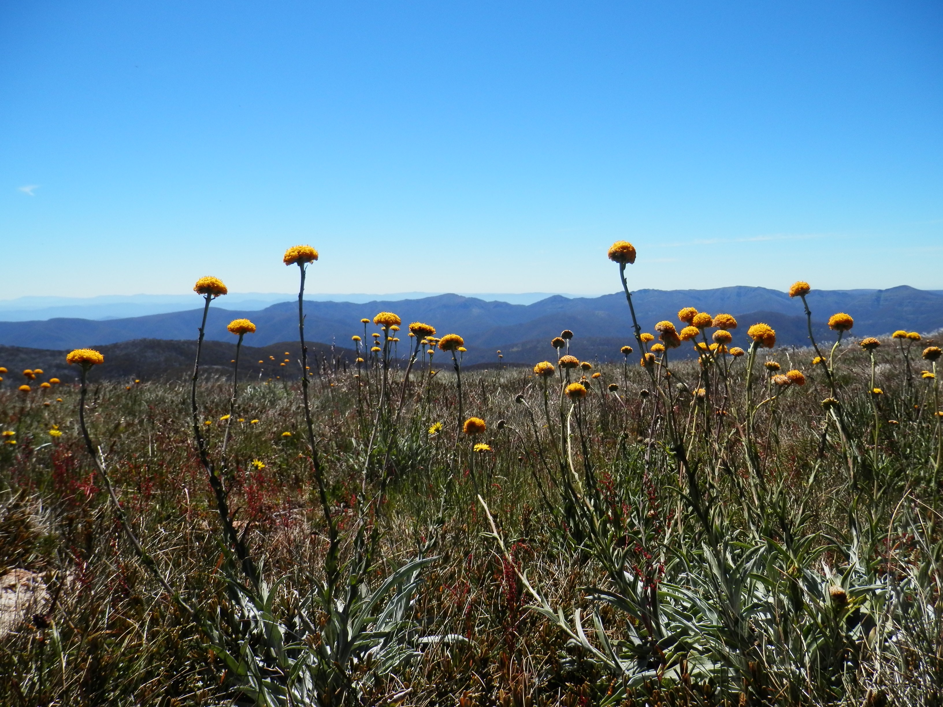 What happens once a landscape is classified?