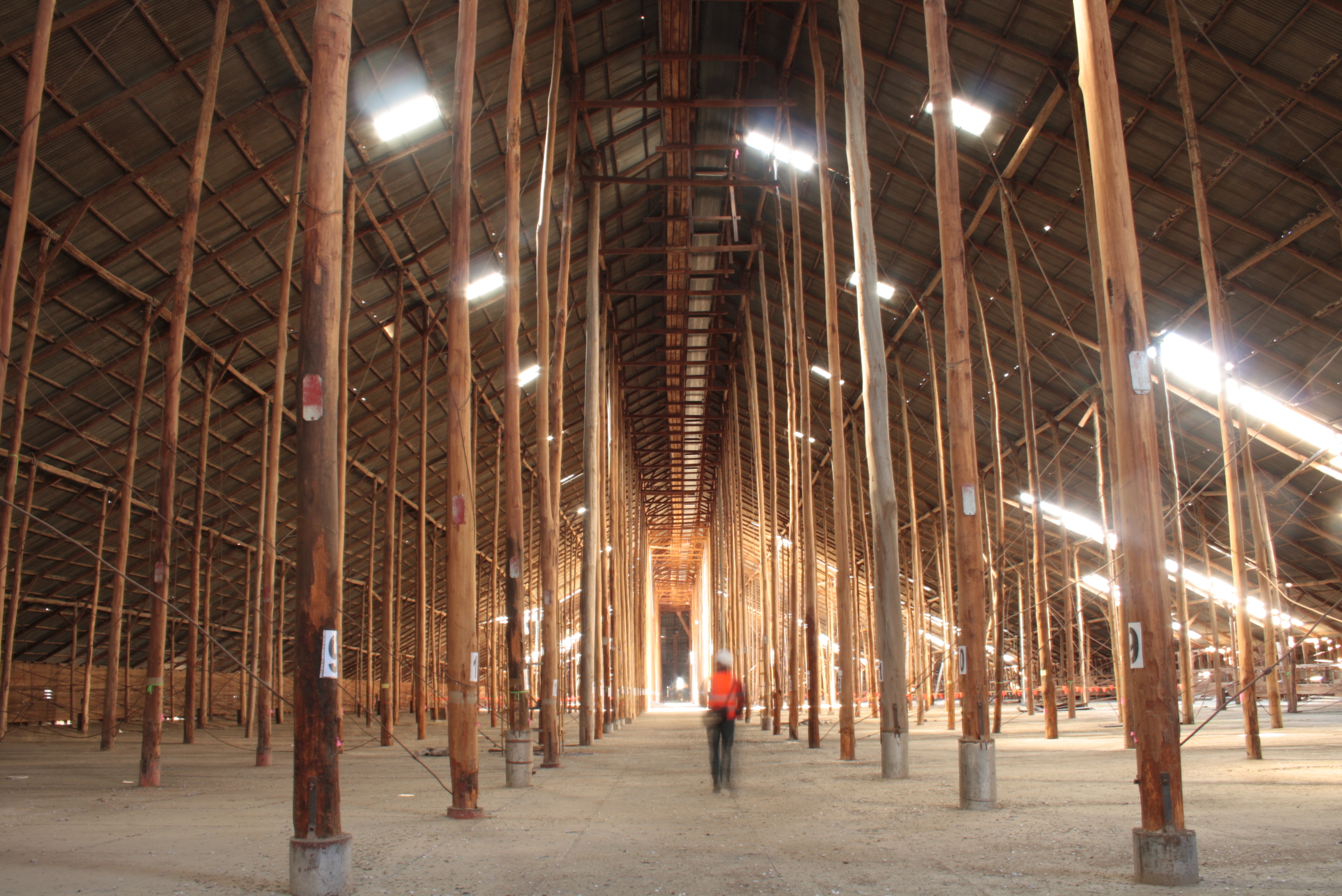 Murtoa Stick Shed 