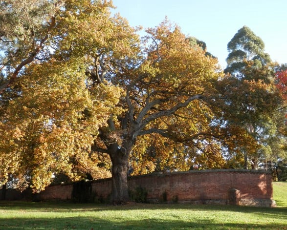 National Trust Heritage Register