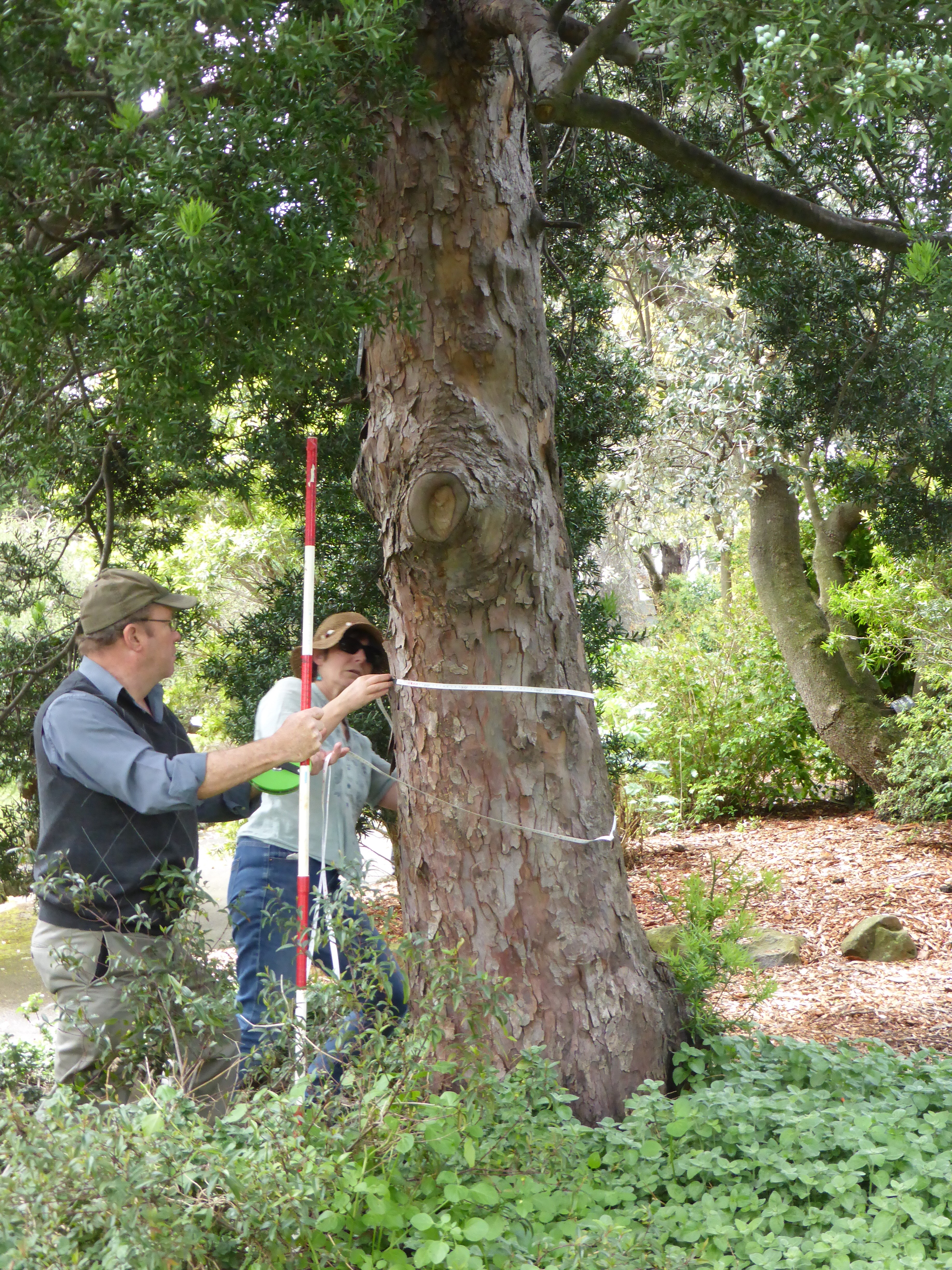 What does landscape classification involve?