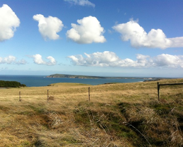 Classifying and protecting Victoria's landscapes