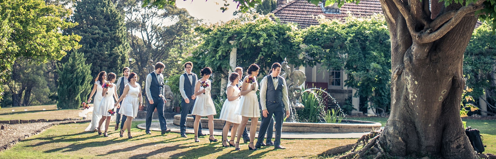 banner image