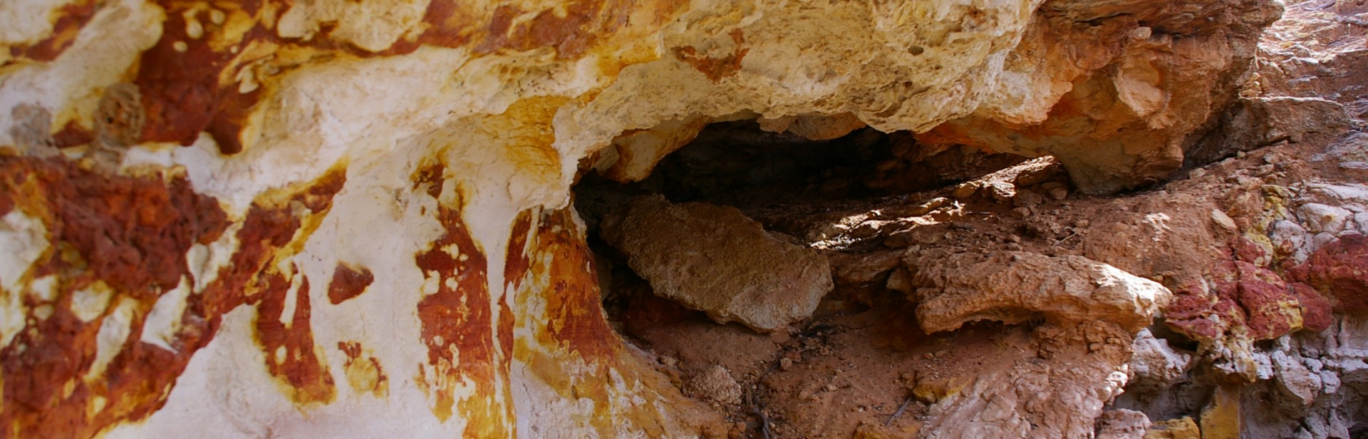 Wilabalangaloo_ Dean_ Lines_ (2) banner image