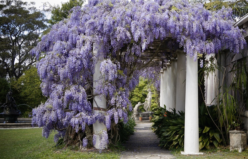 Gardens