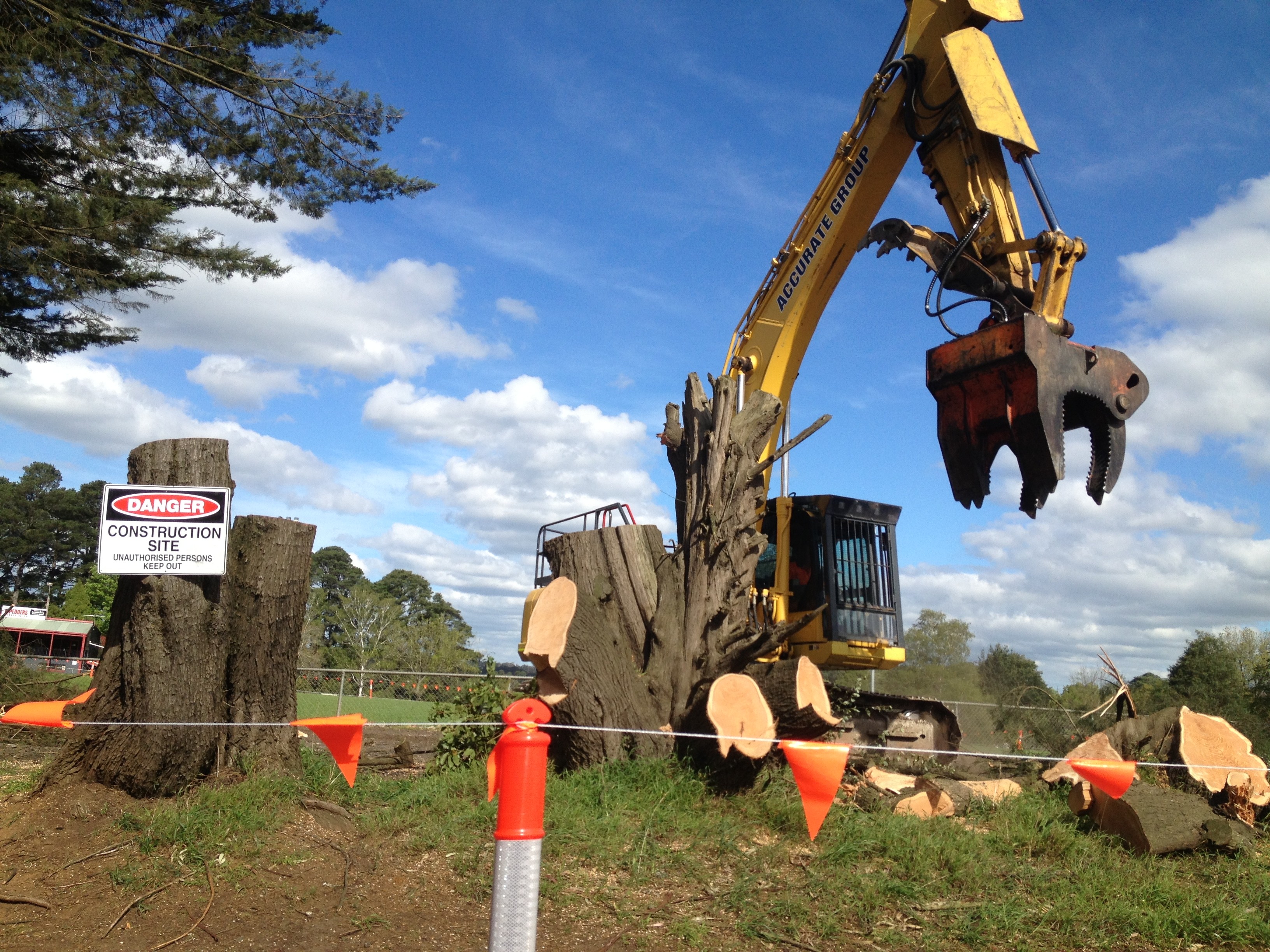 Tree protection in Australia