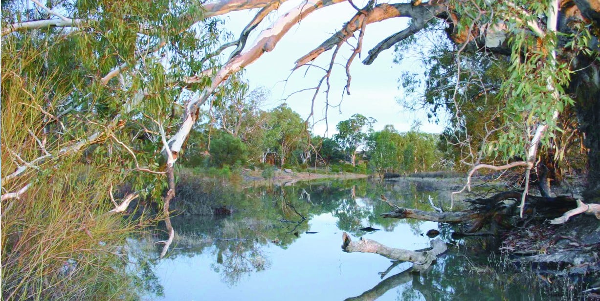 OC-alongwetlandchannel banner image