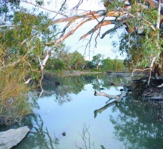 Overland Corner wetland channel related image