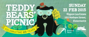 TeddyBearsPicnic2015eDMbannerFINALpdf