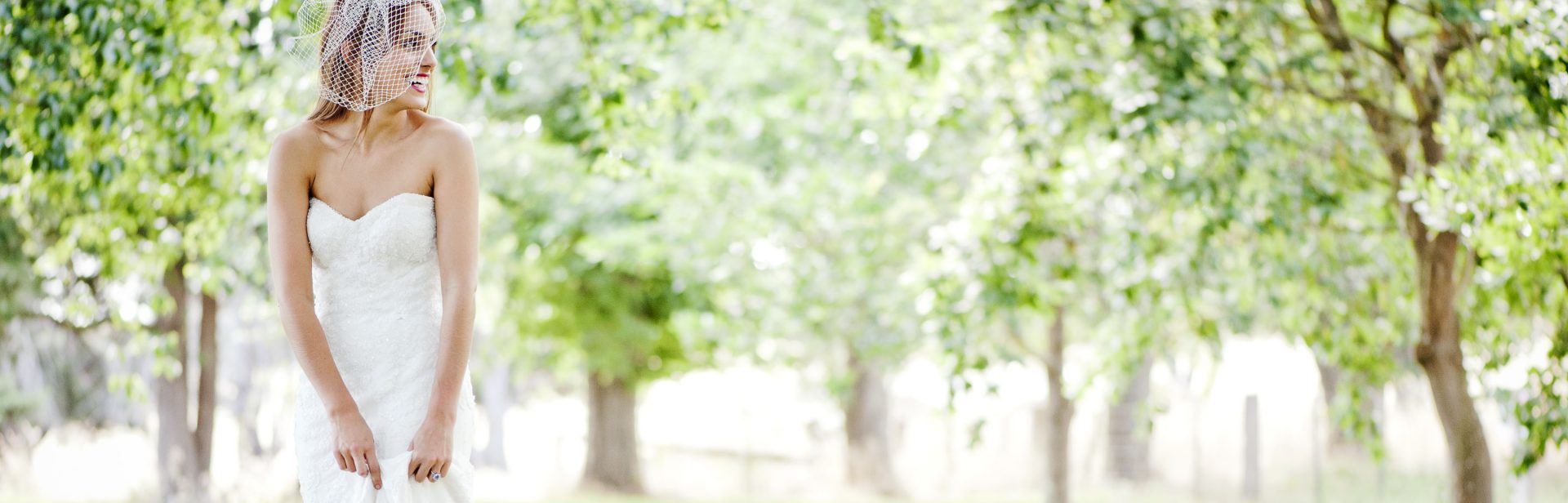 banner image