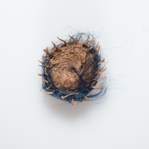 Medicago polymorpha Seed found in hem of Alice Creswick s Day Dress  1880c  Maker Mrs Eeles Collins Street Donor Mrs S Wood gallery image