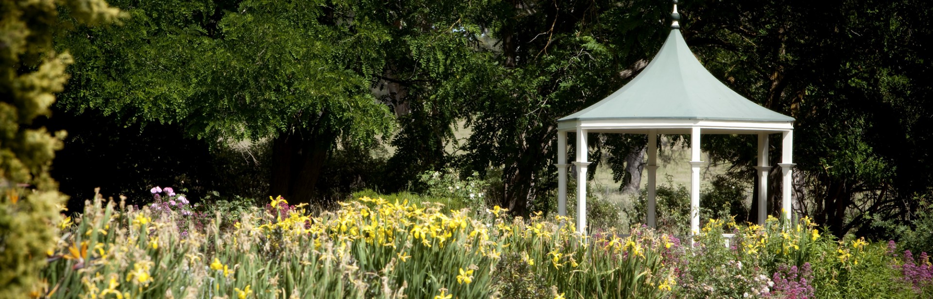 Collingrove Homestead – National Trust