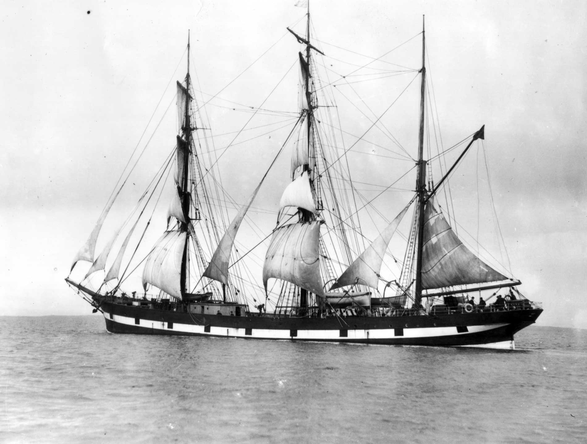 related image