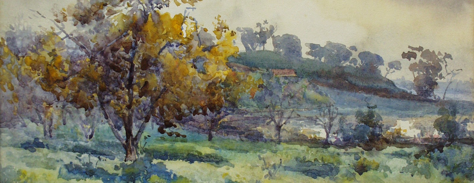 OLYMPUS DIGITAL CAMERA banner image