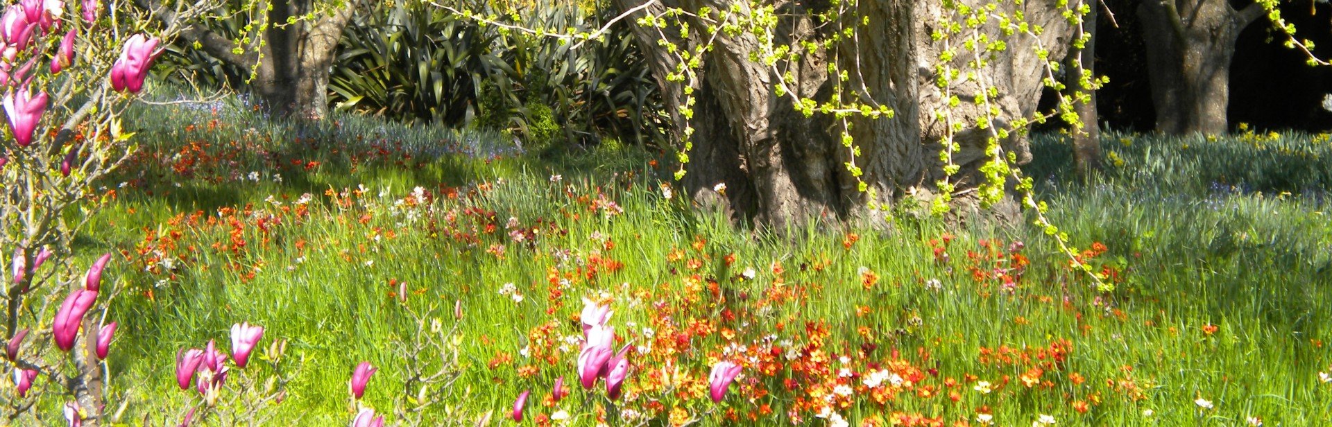 J Photos 2010 288 banner image