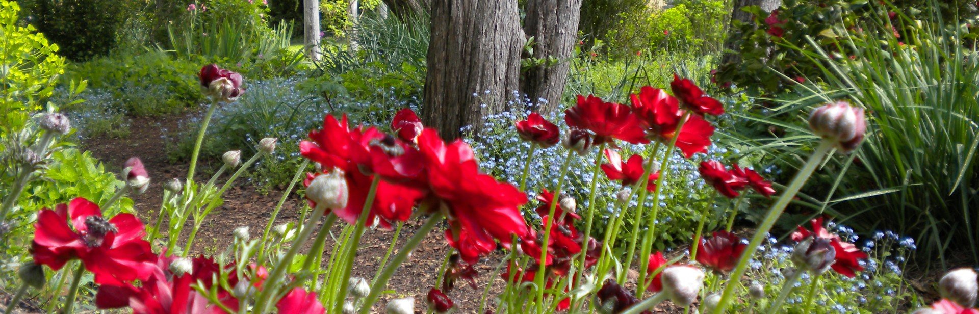 J Photos 2010 380 banner image