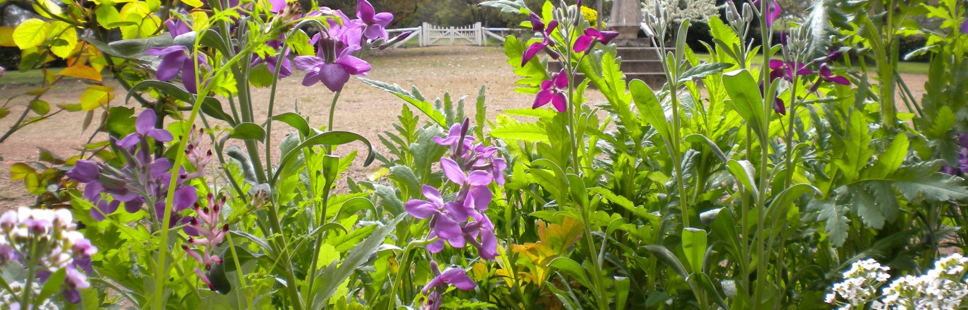 J Photos 2010 387 banner image