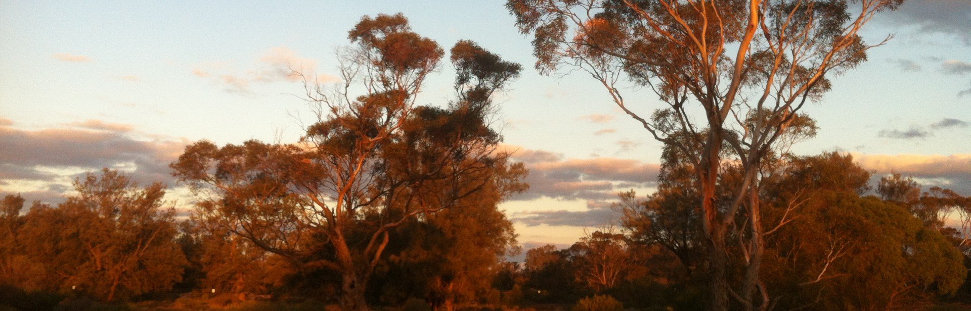 img_2726 banner image