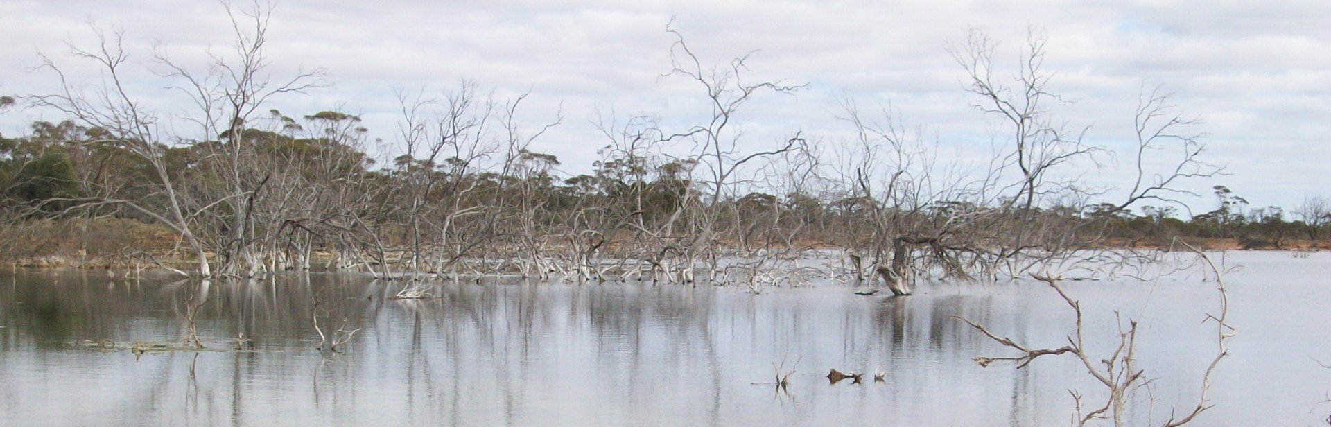 image-4-db-mack-reservephoto-marcus-beresford banner image