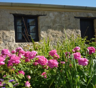 Early settlers cottage related image