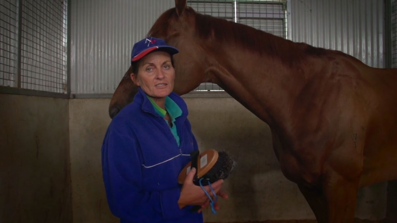 2017 Barn Manager, Karen Ussherr