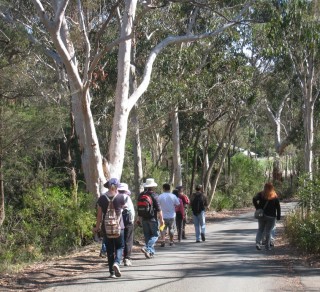 Walking in the HIlls