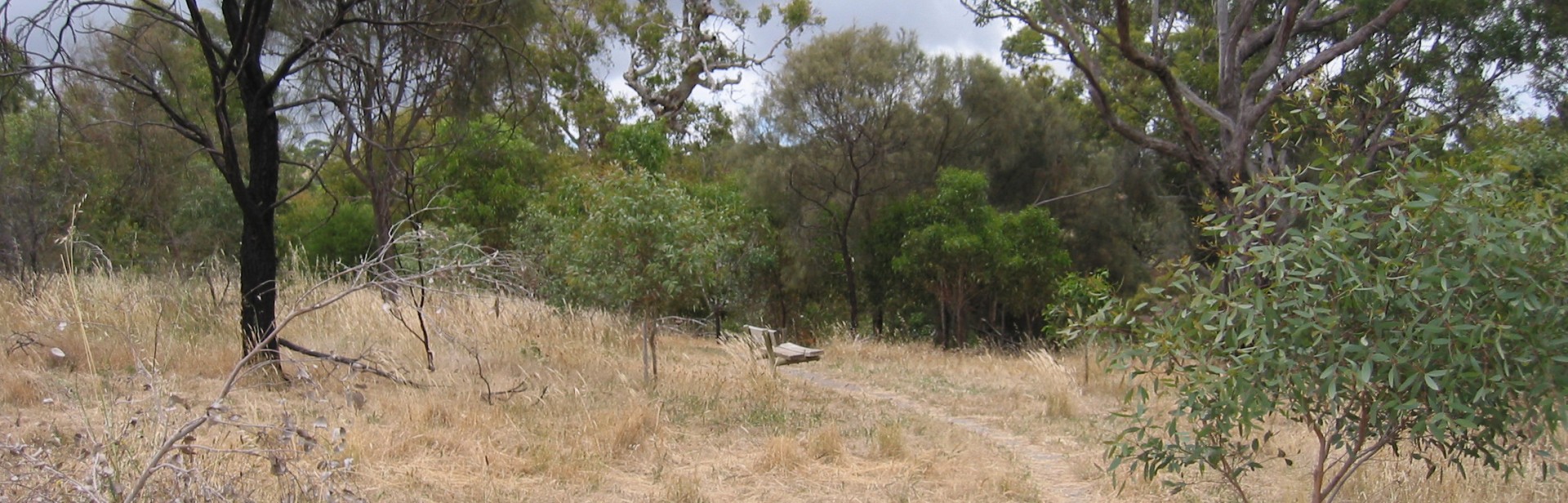 Reserve path banner image