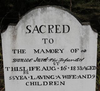 Historic grave, Old Pitt Town Cemetery