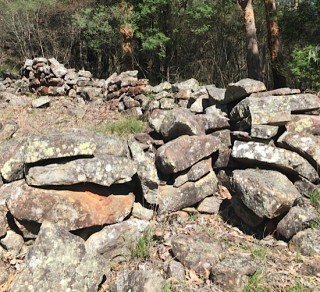 Convict Road Camp Site