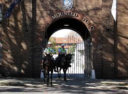 A Tour through the Sydney Mounted Police Stables