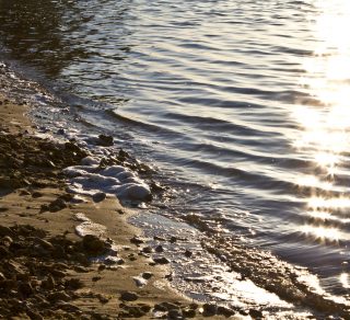Nedlands Foreshore