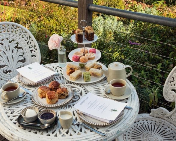 Morning & Afternoon Tea at Como Lane Cafe