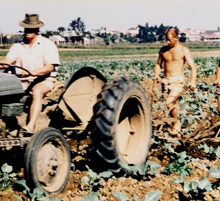 Hawkesbury farmers Harry, Stuart and Ross Gardiner 1970s