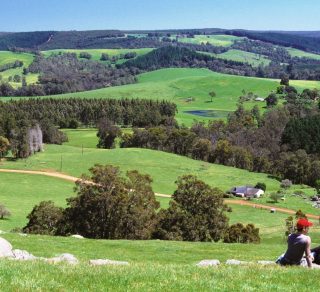 The rolling hills of the Ferguson Valley