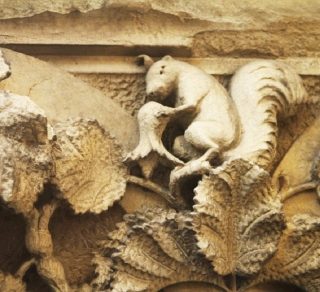 A hidden detail in one of the many heritage buildings in the city.